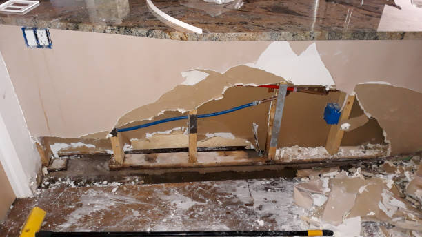 Best Mold removal after water damage  in Effort, PA