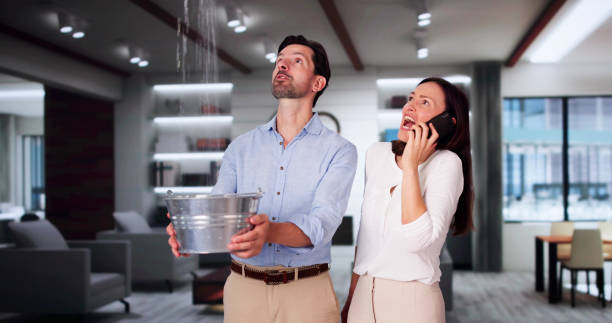 Best Sewage cleanup and water damage restoration  in Effort, PA