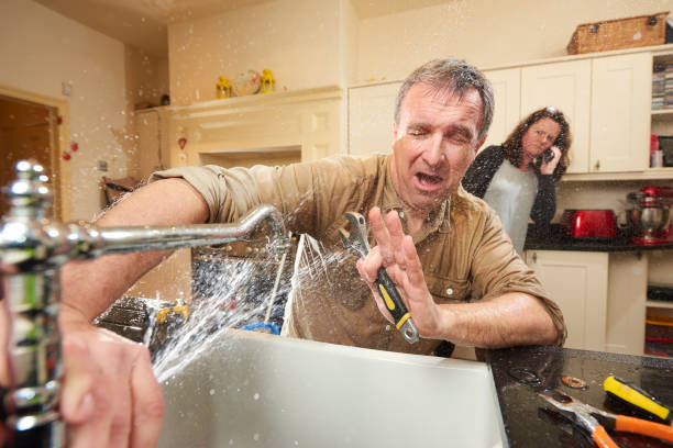 Best Professional water damage repair  in Effort, PA
